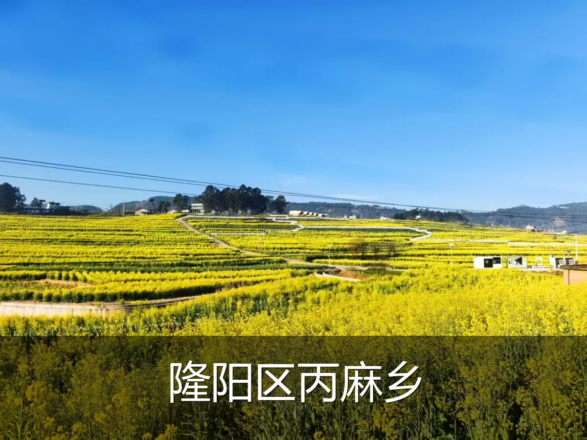 隆阳区丙麻乡