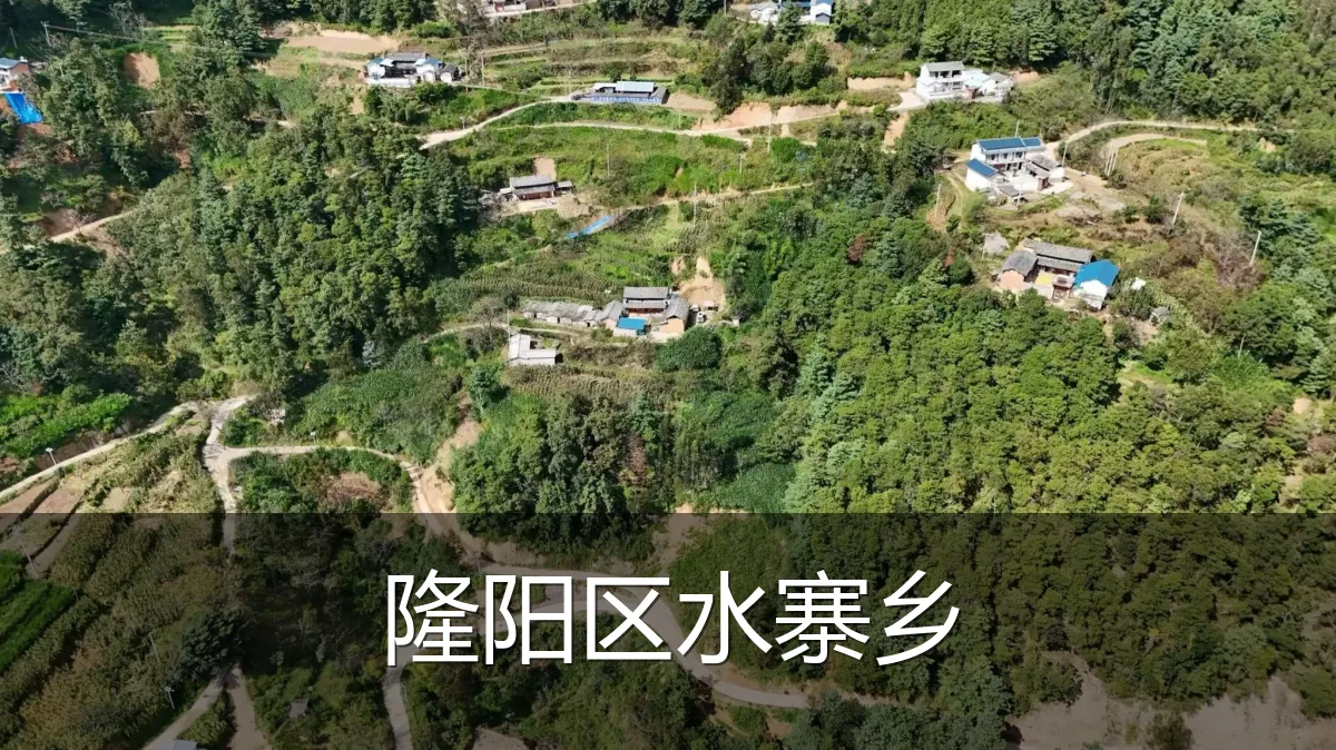 隆阳区水寨乡