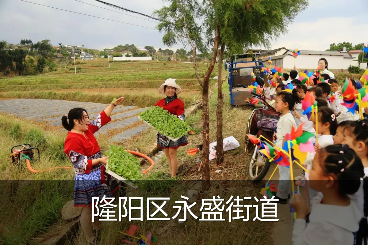 隆阳区永盛街道