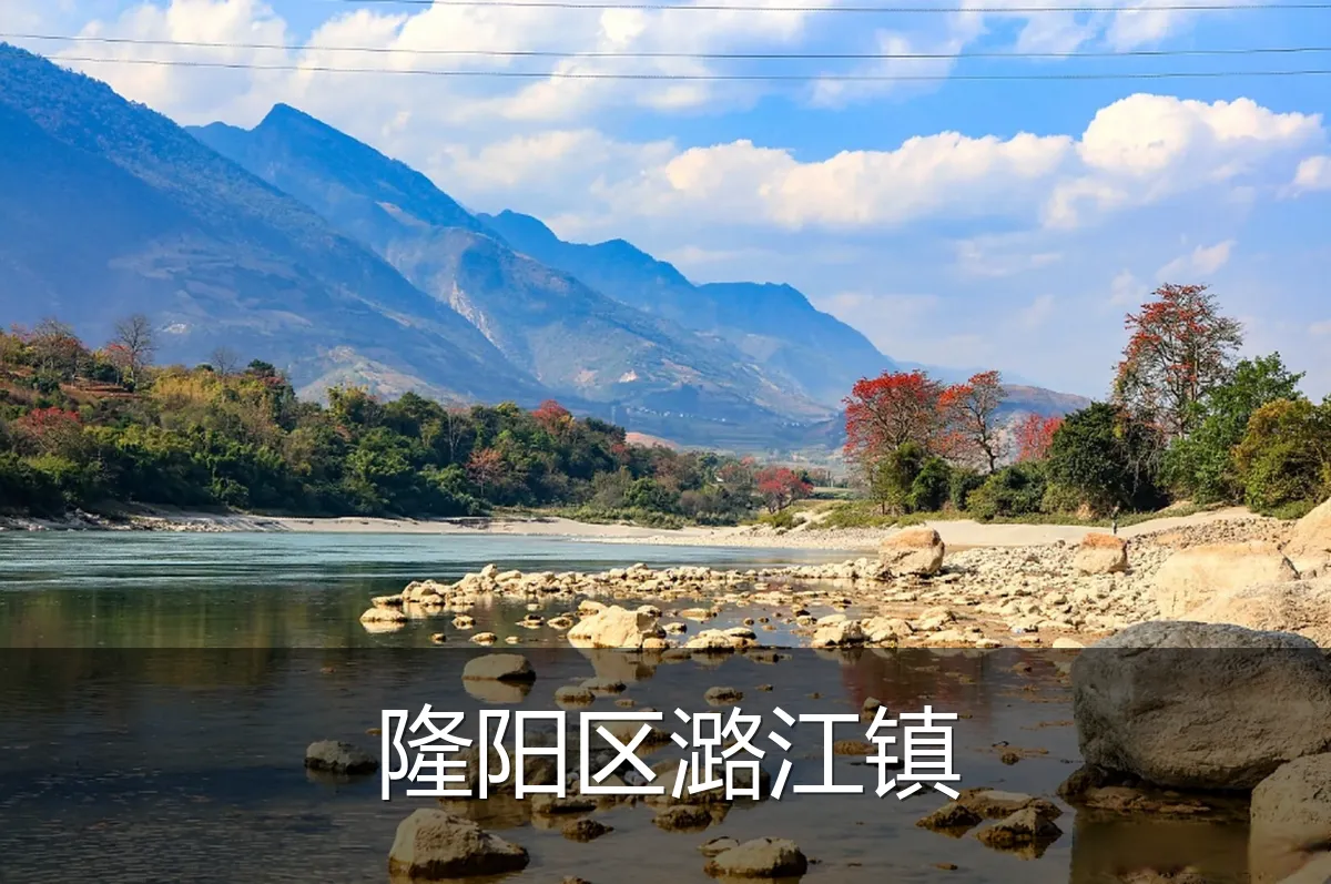 隆阳区潞江镇