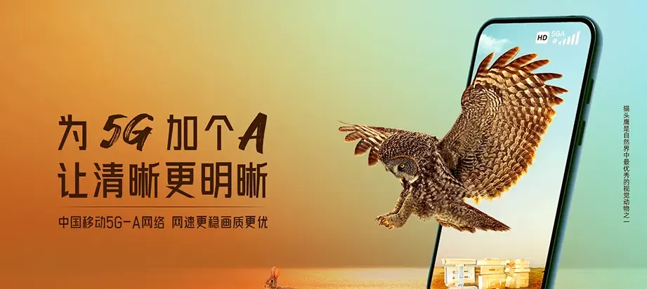 隆阳区隆阳区板桥镇 移动宽带